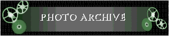 Photo Archive Header